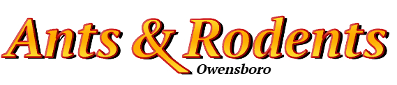 Owensboro Ant Exterminator & Rodent Control Company Logo